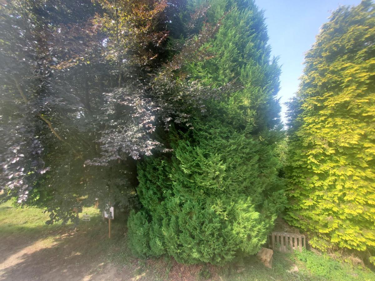 Bed and Breakfast Camden House Aubry-le-Panthou Esterno foto
