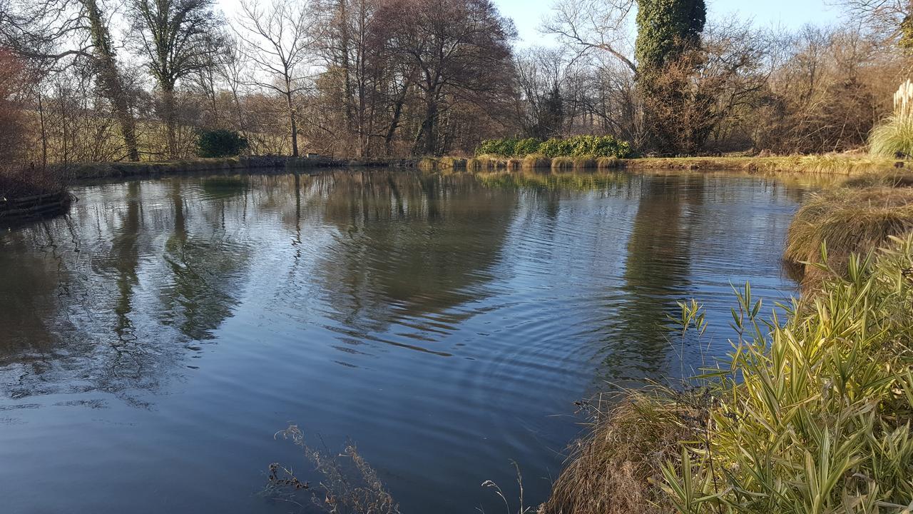 Bed and Breakfast Camden House Aubry-le-Panthou Esterno foto